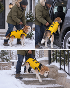 PUMIII AssistLift™ Dog Support Harness
