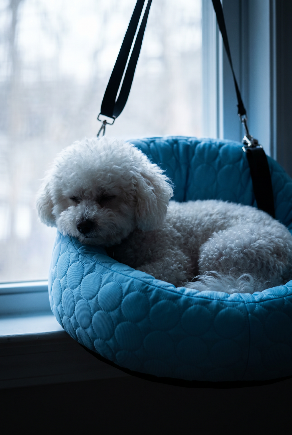 PUMIII ChillNest™ Cooling Travel Seat & Bed — Keep Them Cool & Safe on Every Ride