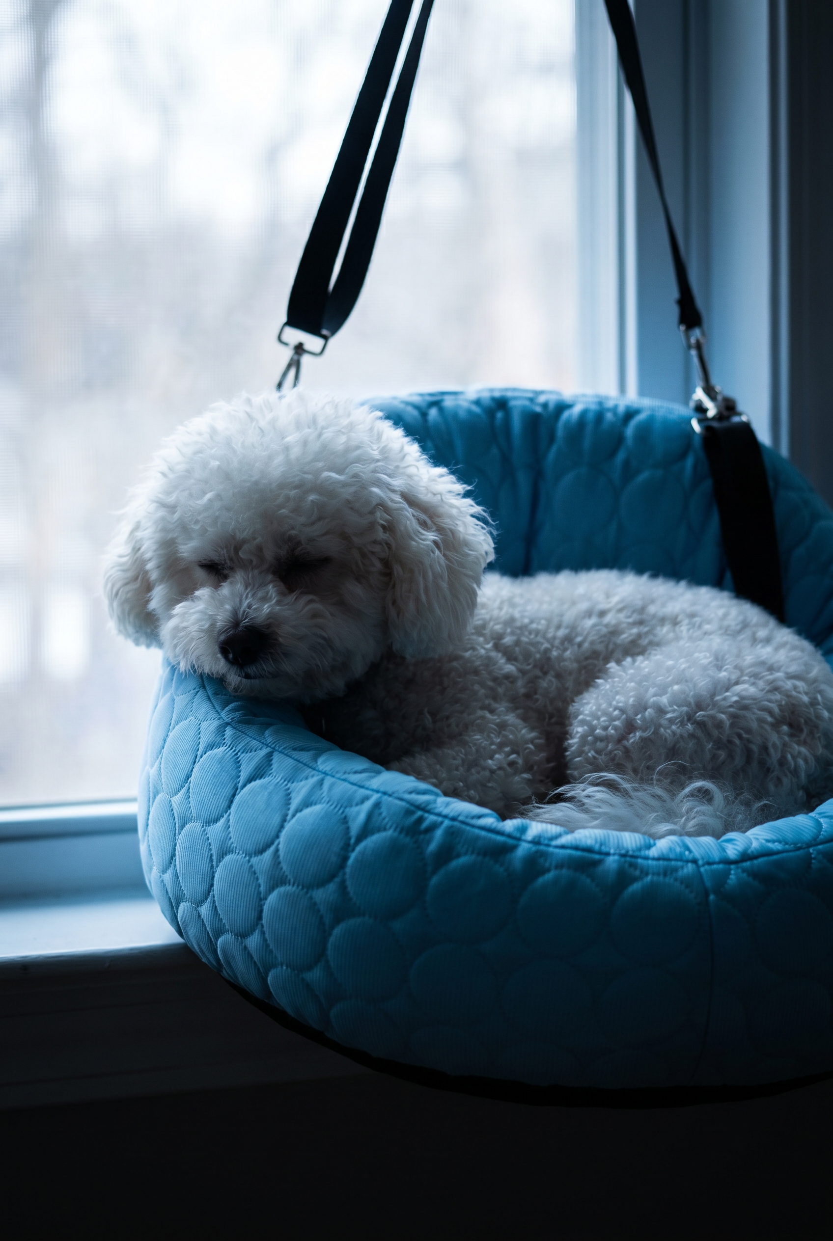 PUMIII ChillNest™ Cooling Travel Seat & Bed — Keep Them Cool & Safe on Every Ride