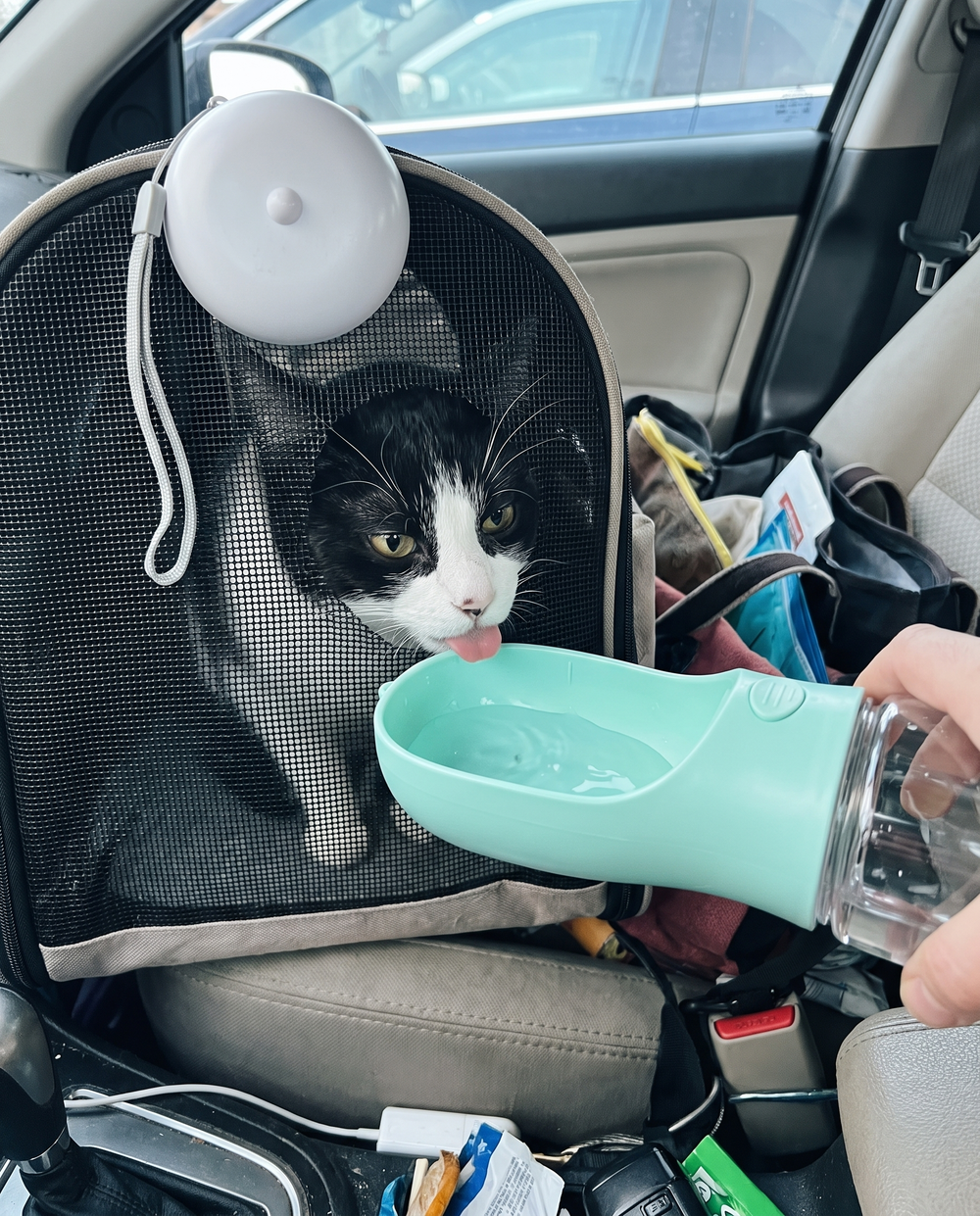 PUMIII 3-in-1 Walk Bottle