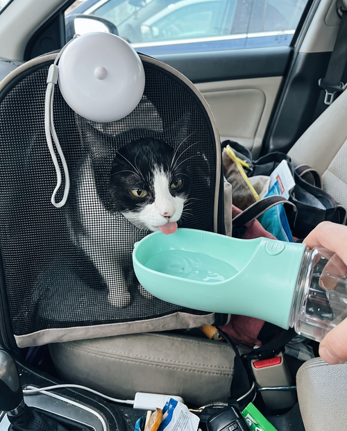 PUMIII 3-in-1 Walk Bottle