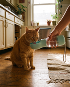 PUMIII 3-in-1 Walk Bottle