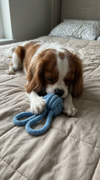 PUMIII LoopJoy Dual-Texture Dog Tug Toy