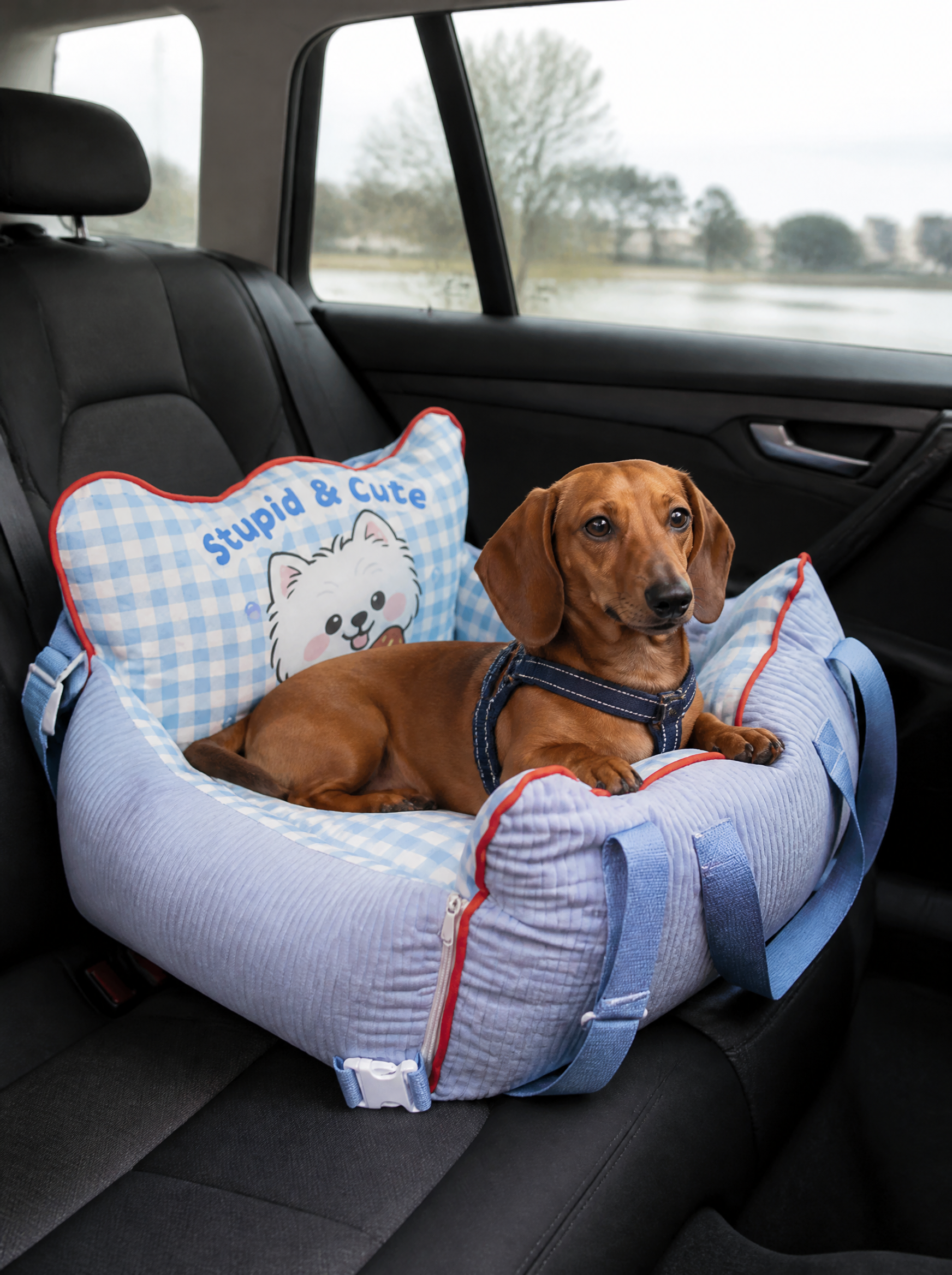 AnywhereNest™ Travel Bed for Small Dogs