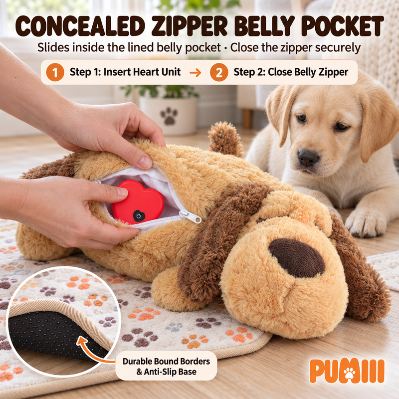 Heartbeat module inside the concealed zipper belly pocket